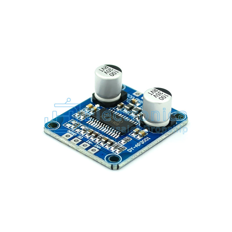 30W Digital Power Amplifier Module - I Found Tech Chinese Warehouse Import