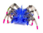 STEM Educational Toy - DIY Spider Robot product image for electronics and prototyping use