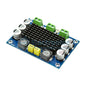 XH-M542 TPA3116D2 100W Digital Power Amplifier Board - I Found Tech Chinese Warehouse Import