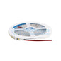 12V 24V 8mm 2835 LED Light Strip - I Found Tech Chinese Warehouse Import - 12V 120 LED 5m IP30(Blue)