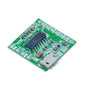 PAM8403 Class D Dual Channel Amplifier Board - I Found Tech Chinese Warehouse Import
